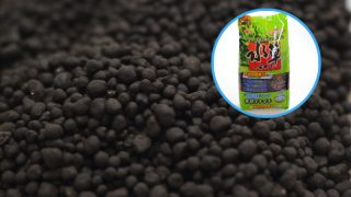 ＧＥＸ　水草一番サンド